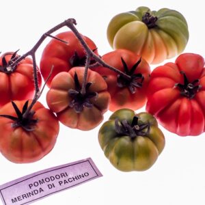 POMODORI DI PAC - S 01 02 862