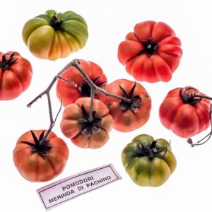 POMODORI DI PAC - S 01 02 865