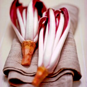 RADICCHIO D - S 01 03 1064