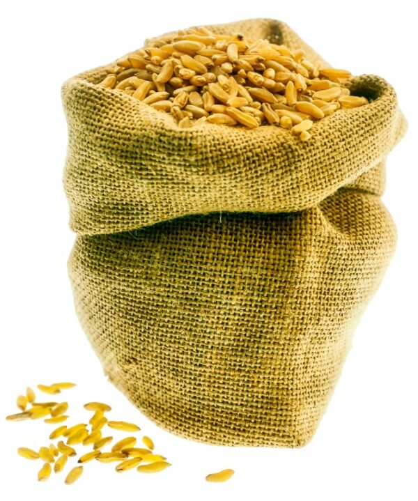 GRANO KAMUT - S 01 03 1689