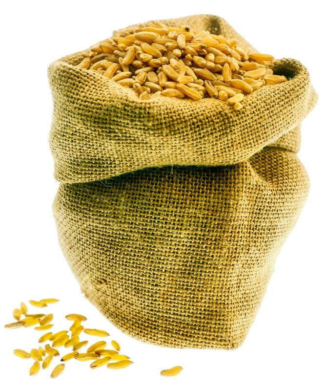 GRANO KAMUT - S 01 03 1689 - immagine 1