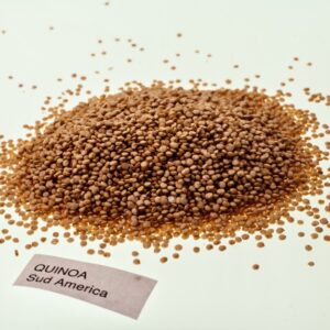 QUINOA - SUD AMERICA