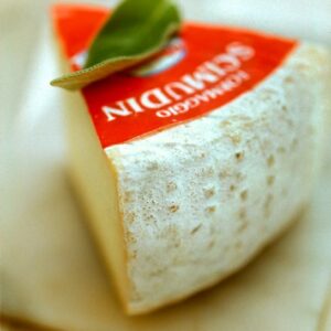 SCIMUDIN - S 01 03 230