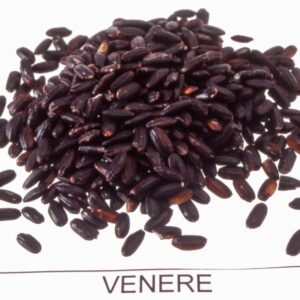 STILL LIFE RISO - S 01 03 885