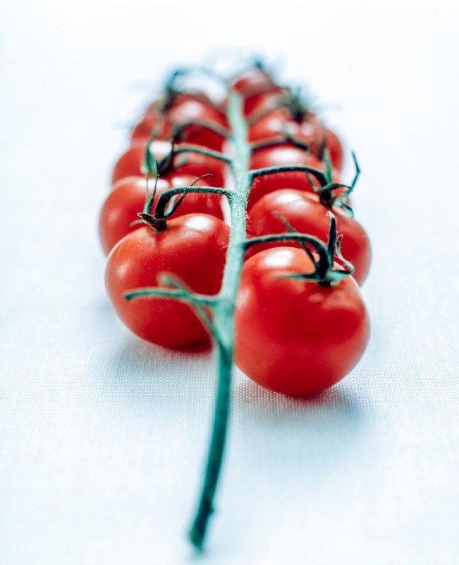 S_01_05_0003_POMORINI_CILIE.JPG - immagine 1