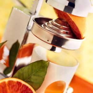 SPREMIAGRUMI - S 03 04 206