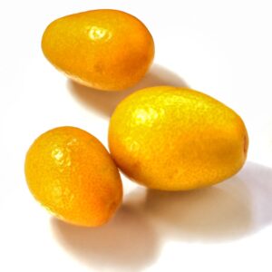 S_04_920_KUMQUAT.JPG