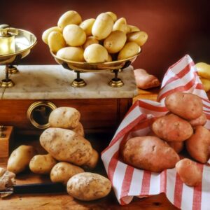 VARIETÀ DI PATATE - S04920