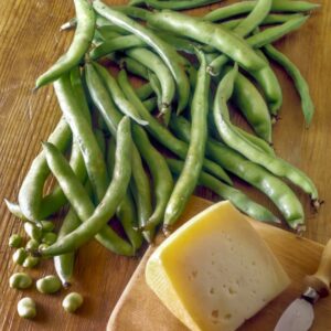 FAVE CON PECORINO - S 04 950 .JPG