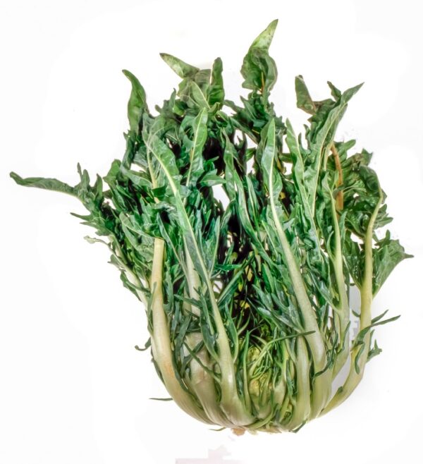 S_06_00_1_PUNTARELLE.JPG