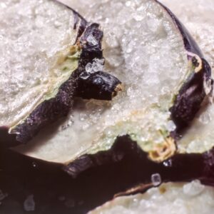 PREPARAZIONE ME - S 10 04 101