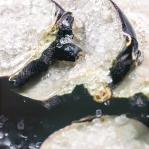 PREPARAZIONE ME - S 10 04 100