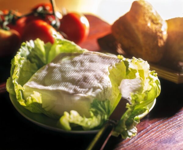 S_14_970_CRESCENZA_.JPG