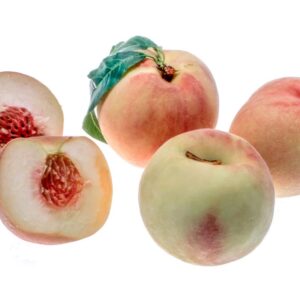 PESCA COMUNE BIANCA - S 16021768 - 74407