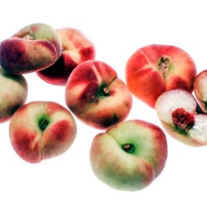 PESCA SATURNIA - S 16021791 - 74412