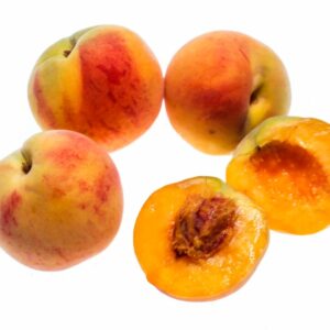 PESCA PERCOCCA - S 16021789 - 74427