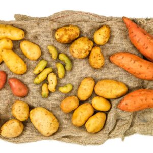 VARIETÀ DI PATATE - 1119