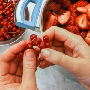 SCIROPPO DI FRAGOLE (STEP 1) - S 20 00 - 75867