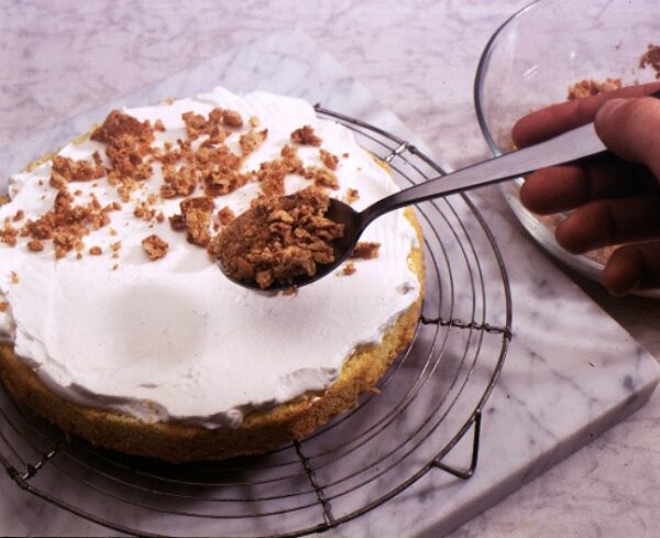 S_21_00_SEQ_1_TORTA_DI_CHIA.JPG