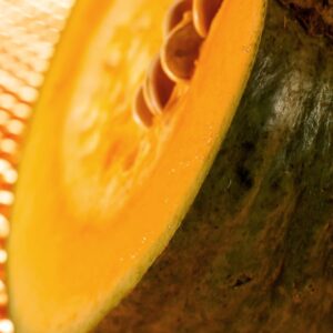 ZUCCA MARINA DI CHIOGGIA - S 21 04 103 - 76372