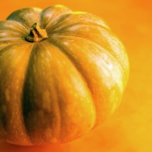 ZUCCA - S 21 04 139 - 76382