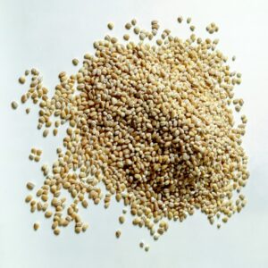 STILL LIFE ORZO - 79448