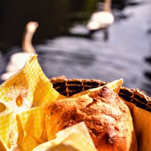 S 36970 PANINO ALLO ZAFFERANO