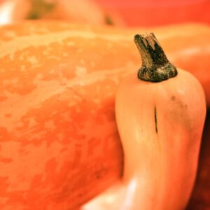 STILL LIFE ZUCCHE - S 2104129 - 4644