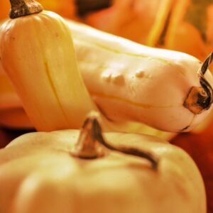 STILL LIFE ZUCCHE - S 2104130 - 4645