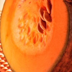 ZUCCA MARINA DI CHIOGGIA - S 2104102 - 4663