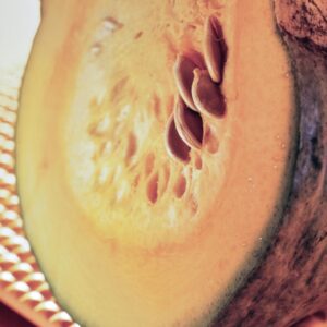 ZUCCA MARINA DI CHIOGGIA - S 2104099 - 0039
