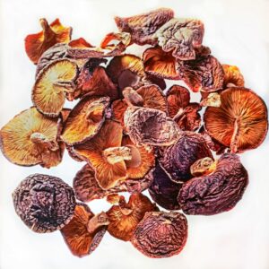 FUNGHI CINESI SECCHI - 8168