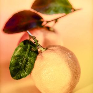 LIMONI - S 0101 - 8352