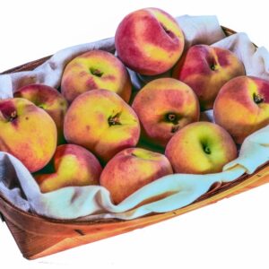 PESCHE - S 23990 - 8388