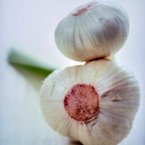 AGLIO - S 01011501
