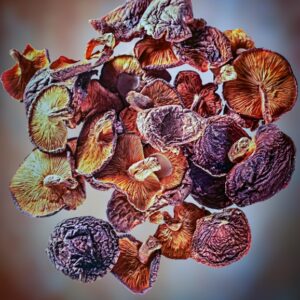 FUNGHI CINESI SECCHI - 8168-2