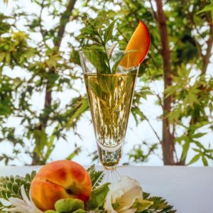 COCKTAIL ALLA PESCA - VERMOUTH ALLA PESCA - GR2634 - 9254