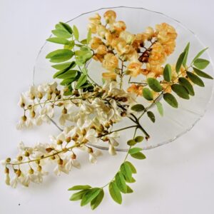 S 98910 FRITTELLE DI ROBINIA