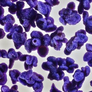 VIOLETTE CANDITE - S 100910