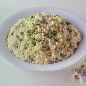 RISOTTO ALLE MARGHERITE - S 98910 - 4573
