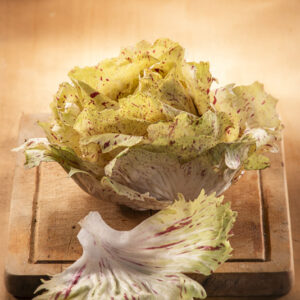 RADICCHIO VARIEGATO - 4700