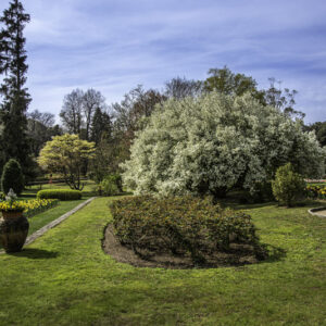 GIARDINO, VILLA TARANTO, VERBANIA, ITALIA - ss_1666786