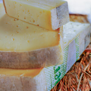 RASCHERA - S01022295