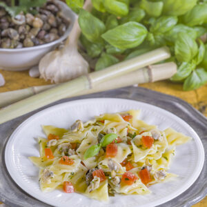 TACCONELLI CON LUMACHINI DI MARE - GT6J3063