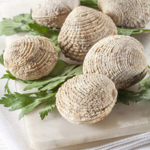 TARTUFI DI MARE - 2660