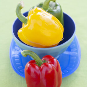 PICNIC - PEPERONI - 4720