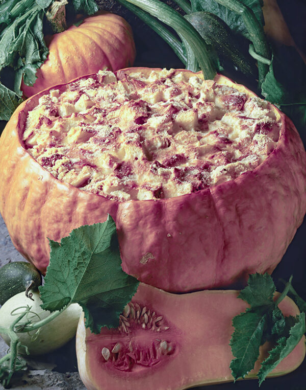 ZUCCA RIPIENA - A2820  - 1667409