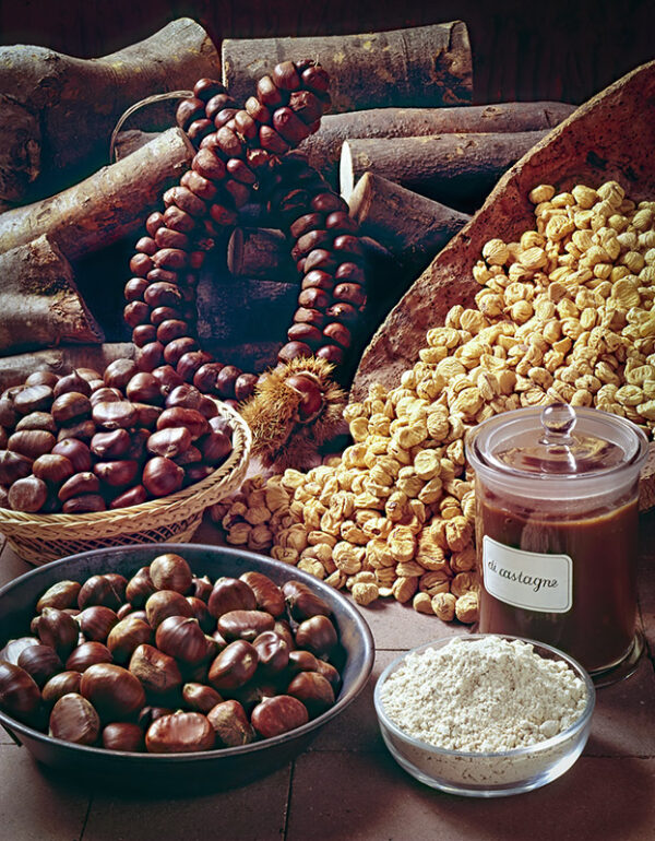 CASTAGNE, CONFETTURA DI CASTAGNE FARINA DI CASTAGNE - 1667411