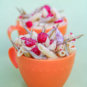 PICNIC - PENNE CON LATTERINI MARINATI ALL'ACETO DI LAMPONI PEPE - 4756