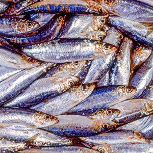 SARDE - S02940 - 68930